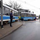 zdjęcie nr 14