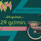 Fotka nr 2 z 3
