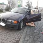 Fotka nr 4 z 6