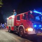 Fotka nr 2 z 4
