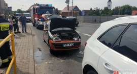 Fotka nr 2 z 4