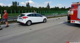 zdjęcie nr 7
