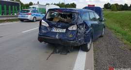 Fotka nr 5 z 8