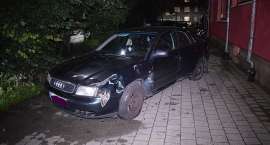 Fotka nr 2 z 5