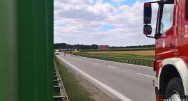 Fotka nr 5 z 21
