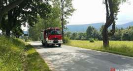 Fotka nr 5 z 13