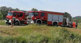 Fotka nr 2 z 4