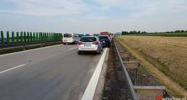 zdjęcie nr 7