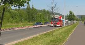 zdjęcie nr 9