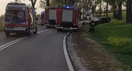 Fotka nr 1 z 5