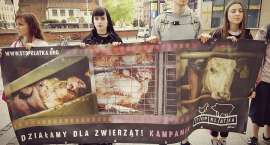 Fotka nr 1 z 4