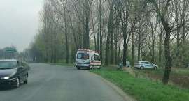 Fotka nr 1 z 2