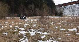 zdjęcie nr 8