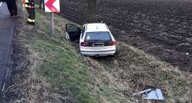 Fotka nr 2 z 4