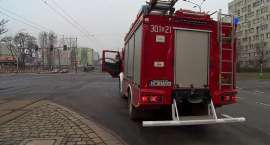 Fotka nr 2 z 5