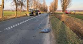 zdjęcie nr 8