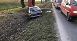 zdjęcie nr 9
