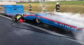 Fotka nr 2 z 3