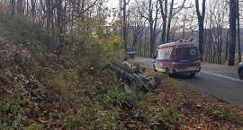 Fotka nr 3 z 11