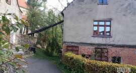 Fotka nr 1 z 15