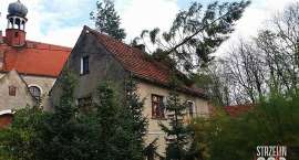 zdjęcie nr 7