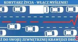 Fotka nr 2 z 3
