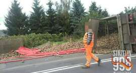 Fotka nr 4 z 13