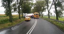 Fotka nr 2 z 4