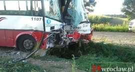 Fotka nr 4 z 8