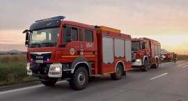 Fotka nr 5 z 8