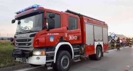 Fotka nr 2 z 8