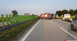 Fotka nr 2 z 4