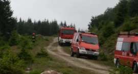 Fotka nr 5 z 7