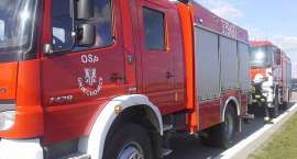 Fotka nr 5 z 7