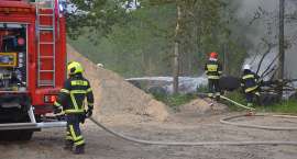 zdjęcie nr 8