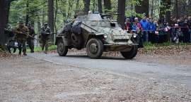 Fotka nr 4 z 35
