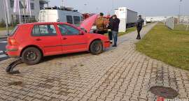 Fotka nr 2 z 4