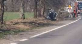 Fotka nr 2 z 4