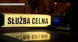Fotka nr 4 z 6