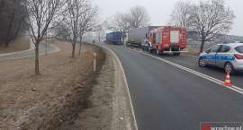 zdjęcie nr 8