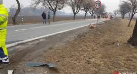 zdjęcie nr 7
