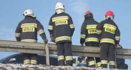 Fotka nr 1 z 15