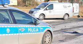Fotka nr 5 z 9