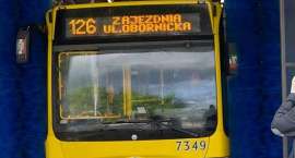 Fotka nr 2 z 3