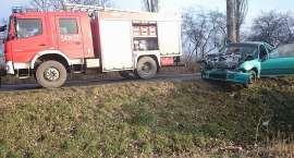 Fotka nr 5 z 8