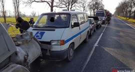 zdjęcie nr 10