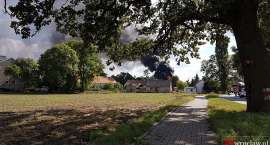 Fotka nr 2 z 15