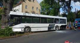 Fotka nr 1 z 8