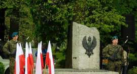 Fotka nr 5 z 7