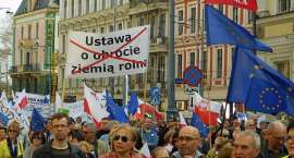 zdjęcie nr 10